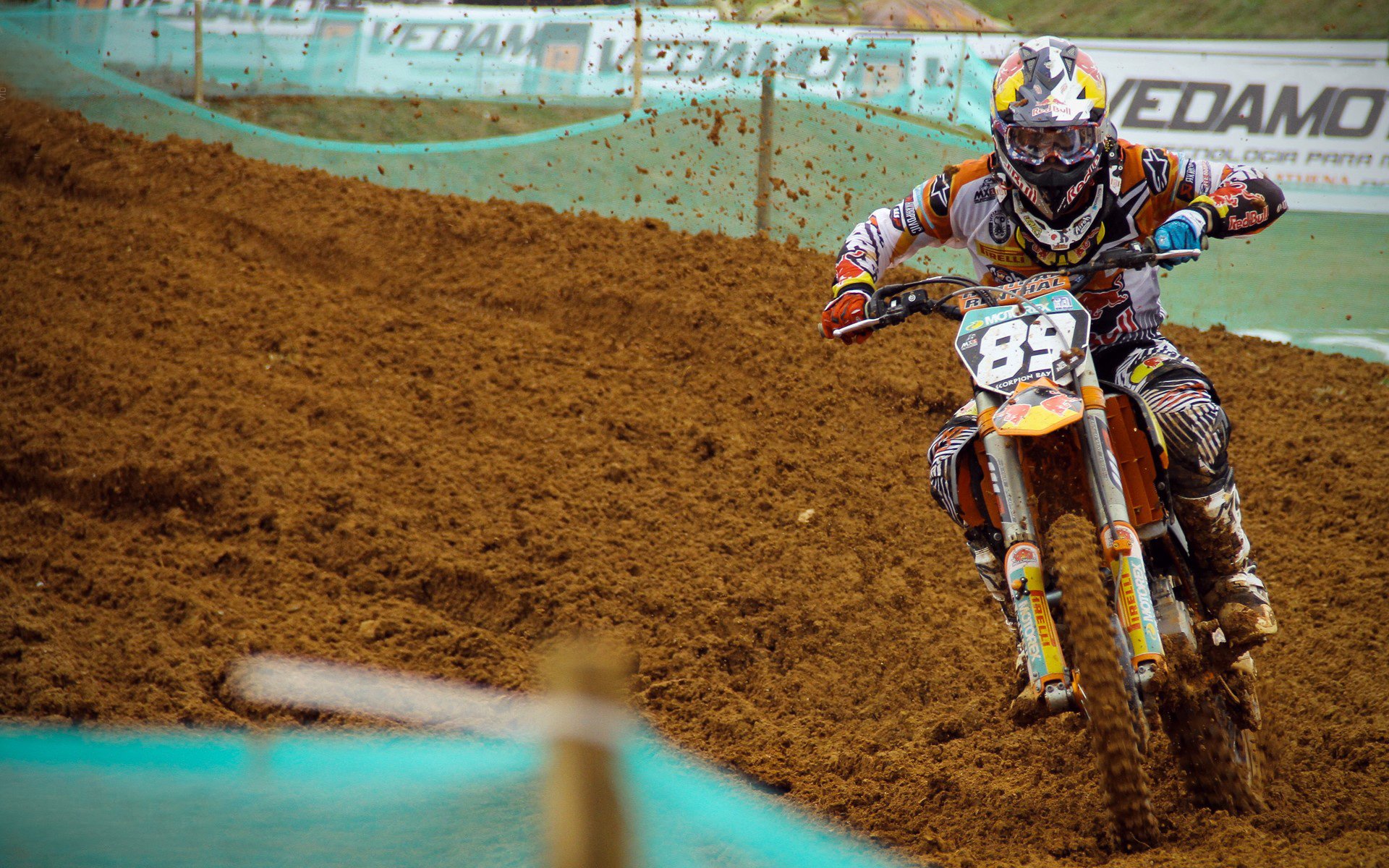 自由泳巅峰对决,世界纪录保持者与新星闪耀国际泳联锦标赛